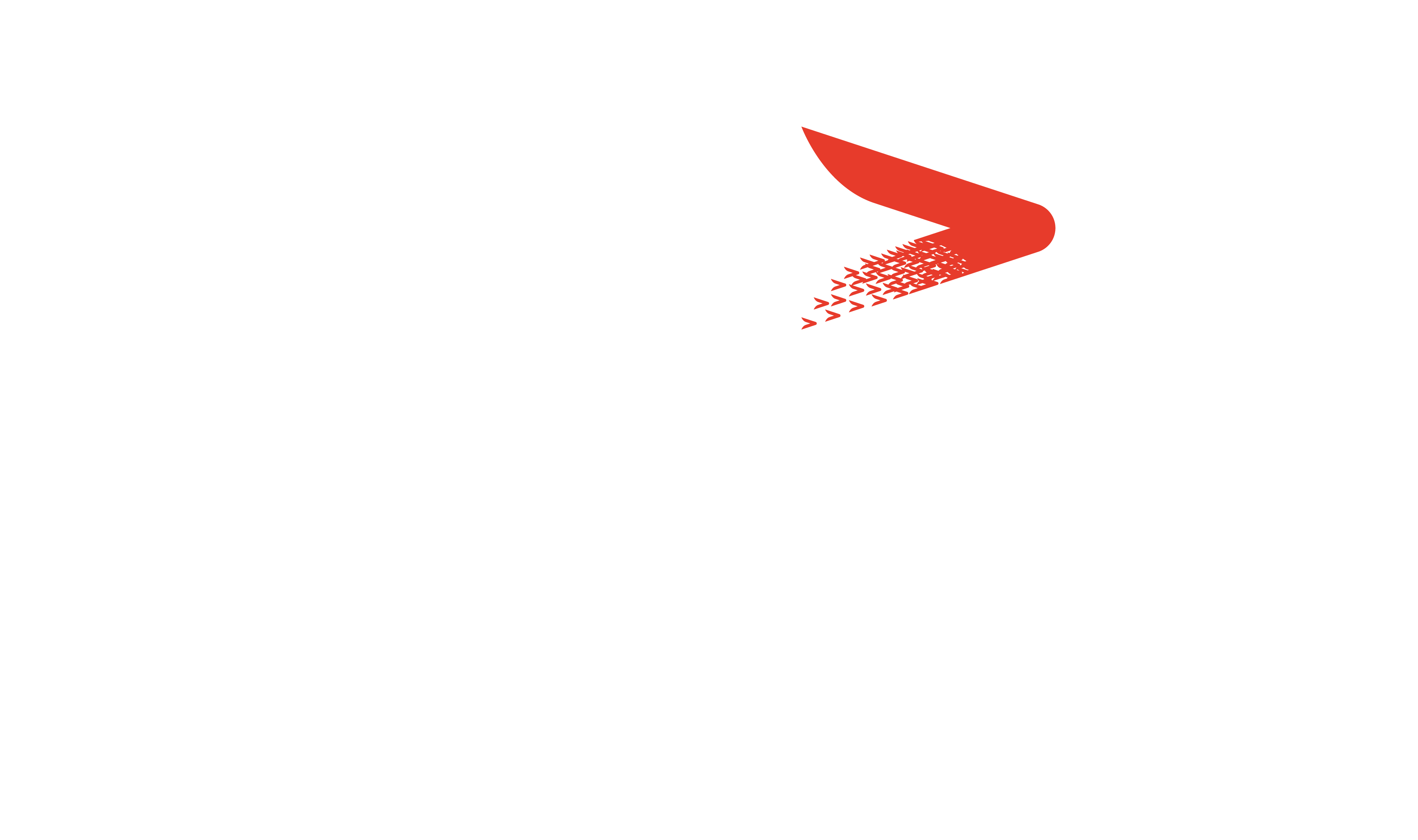 AgilityEco Logo - Inverted