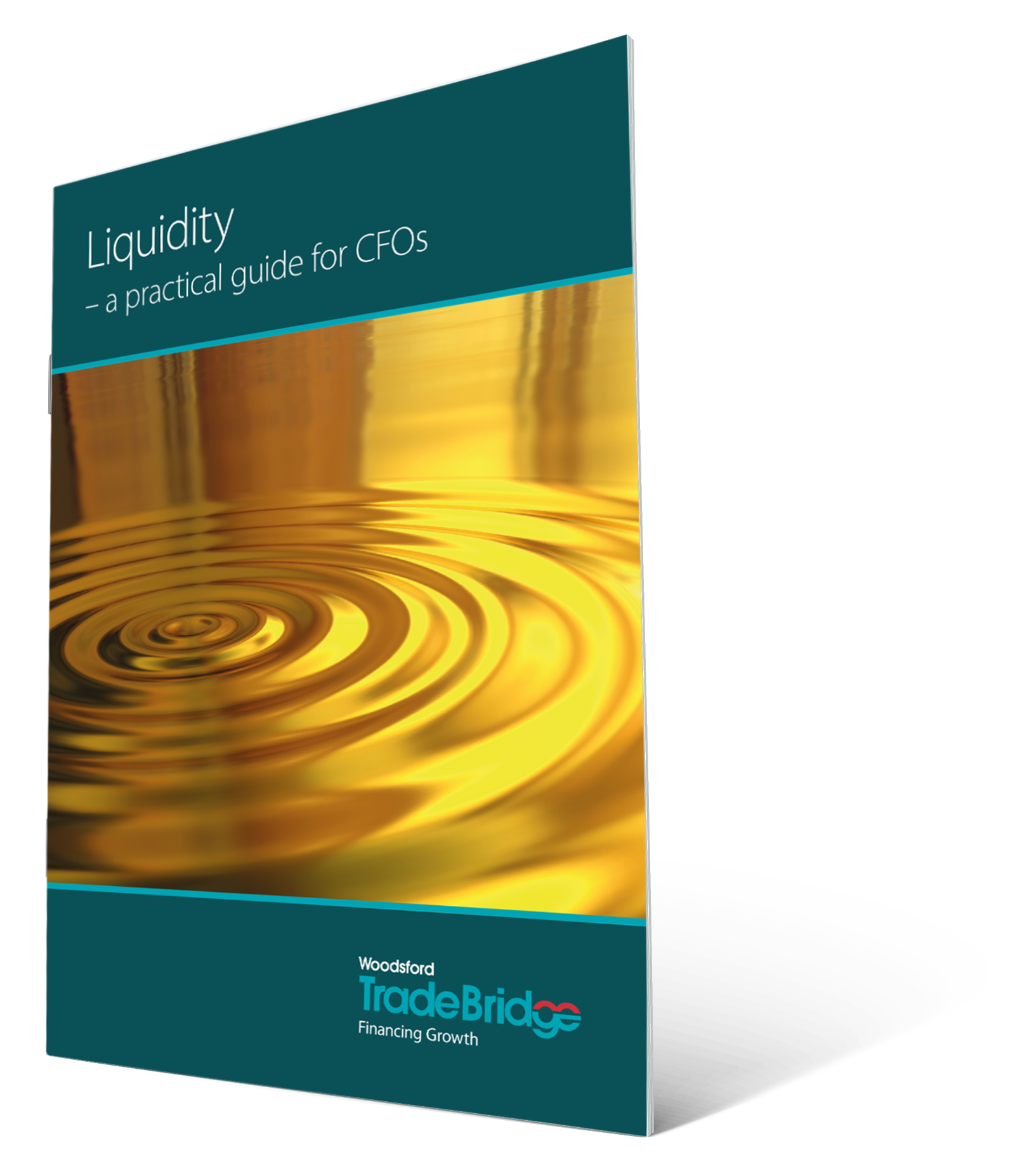 Liquidity guide_Icon-1